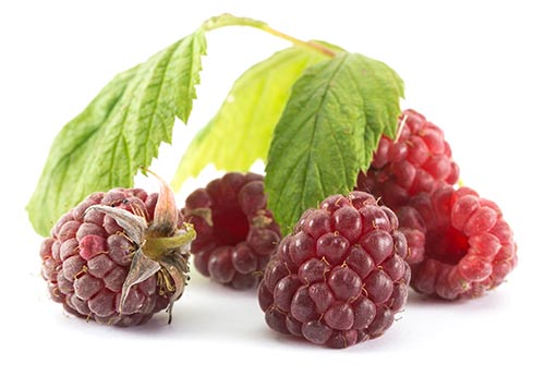 FRamboise